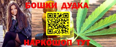 тгк Бердск