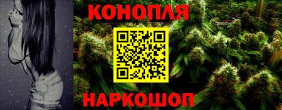 тгк Бердск