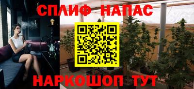 тгк Бердск